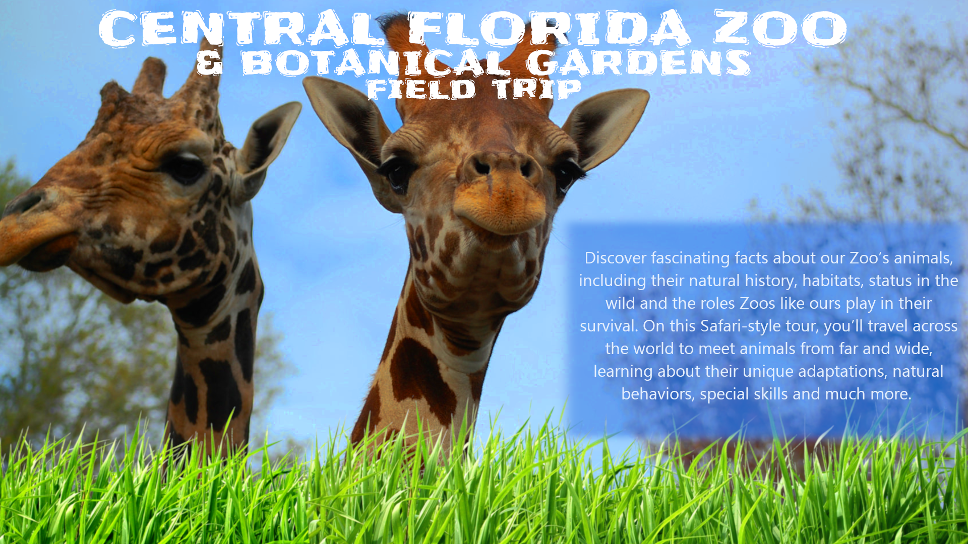 The Central Florida Zoo