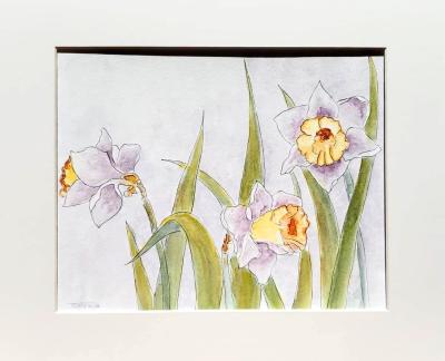 Daffodils image