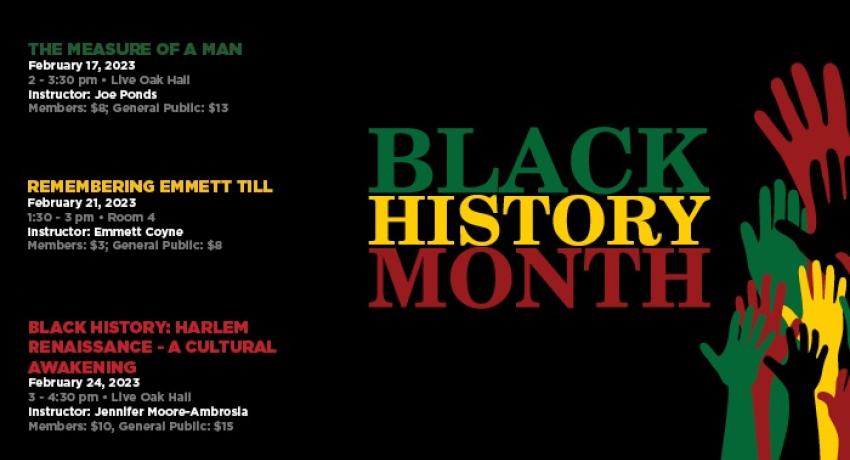Black History Month ad image